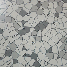 MAXFLOR CE-1101.jpg
